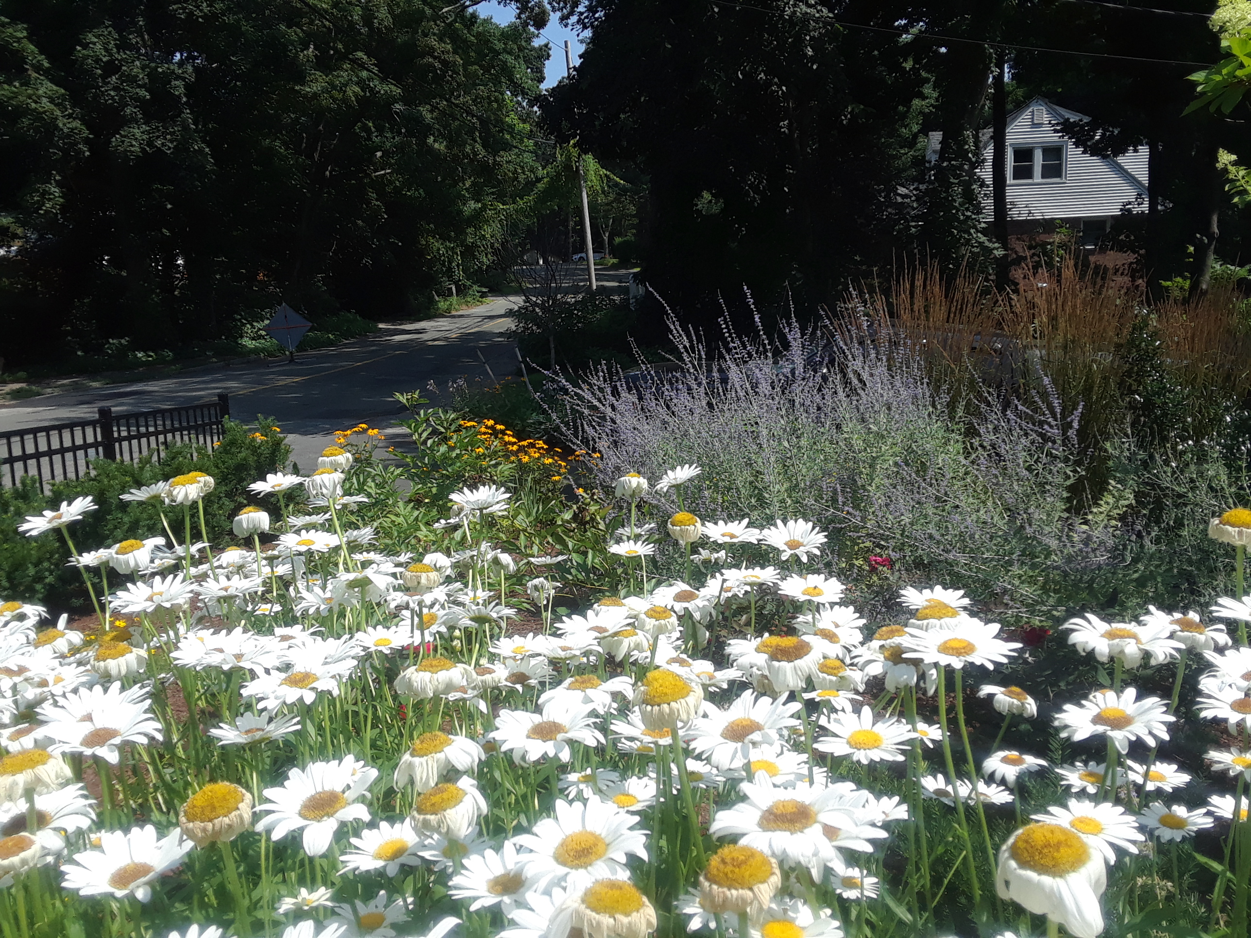 Garrick-Santo Landscape Co.