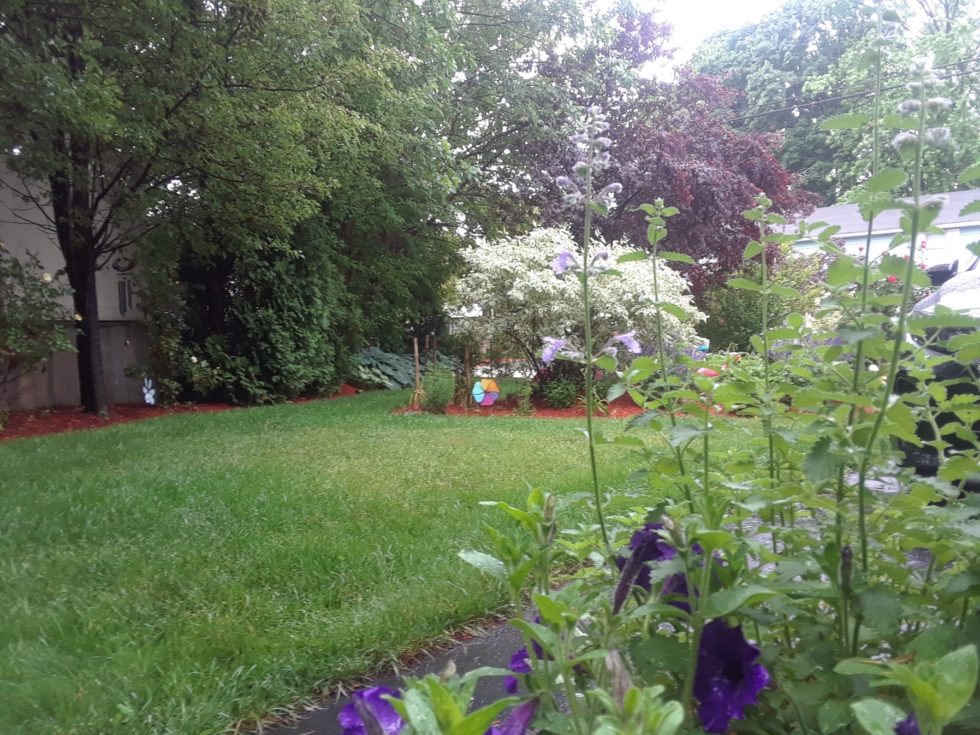 Wilmington Landscape Service